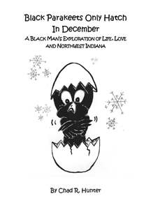 SMALLER Pages from Black Parakeets Only Hatch in December-FINAL-COVER